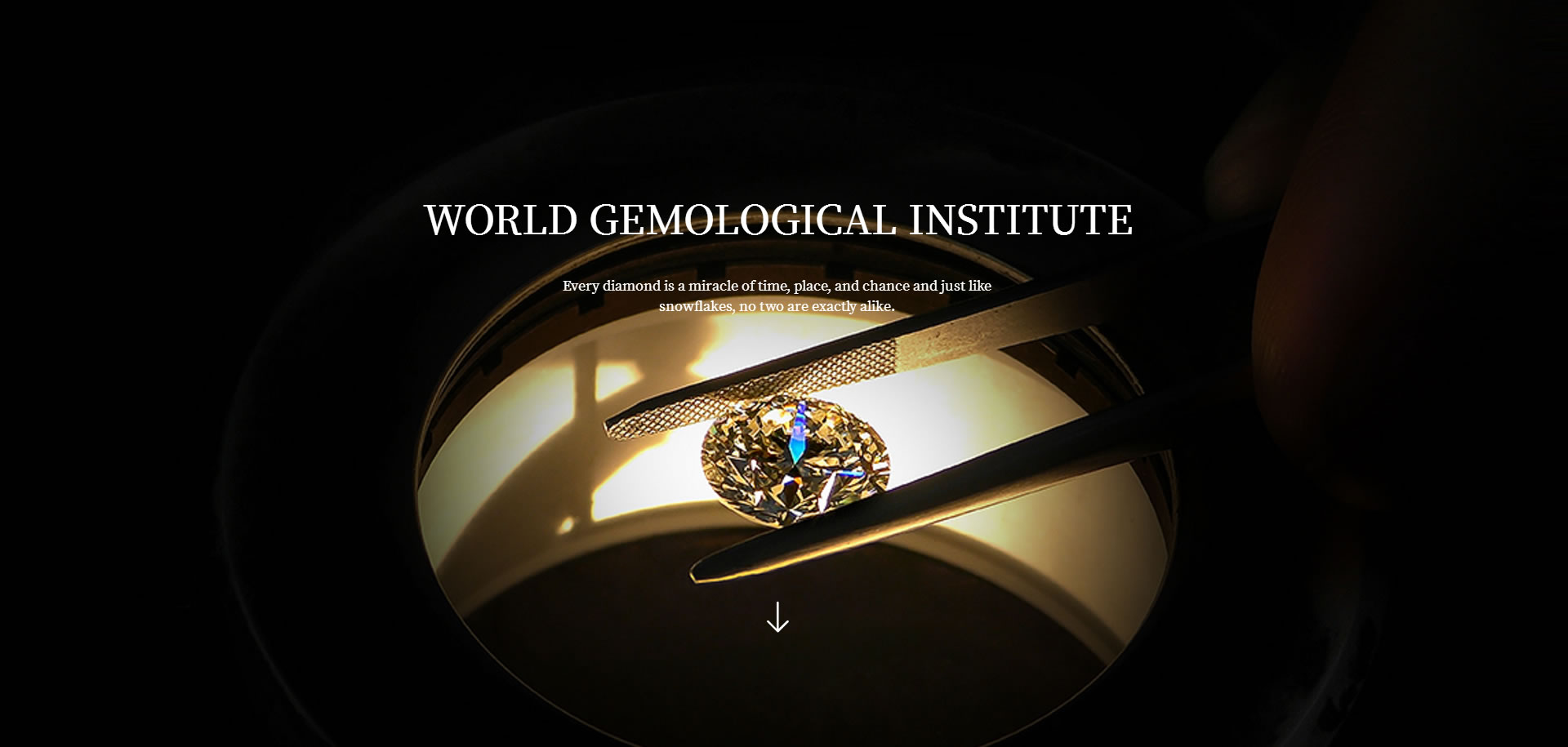 World Gemological Institute